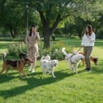 Dog Park Pick Up Lines