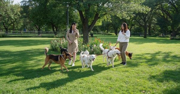 Dog Park Pick Up Lines